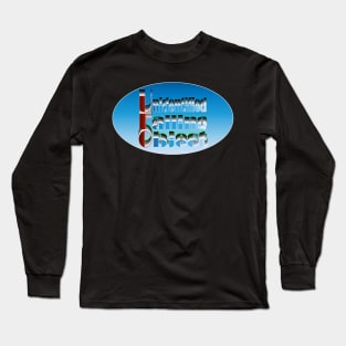 Unidentified Falling Object: More Questions Than Answers Long Sleeve T-Shirt